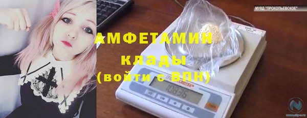 мдпв Кукмор